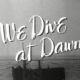 We Dive at Dawn