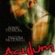 Asylum