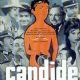 Candide