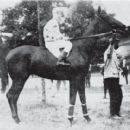 1930 racehorse deaths