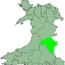 District of Radnorshire