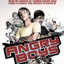 Angry Boys