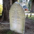 Samuel Johnson (comedian)