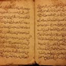 History of the Alawites