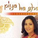 2003 in Indian television