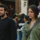 Mayans M.C. (2018) - 454 x 235