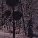 Not in Rivers, but in Drops - Isis