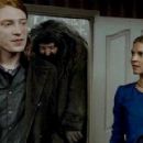 Harry Potter and the Deathly Hallows: Part 1 - Domhnall Gleeson - 454 x 291