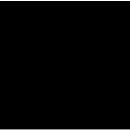 Mass media companies established in 2010