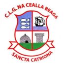 1924 in Gaelic games