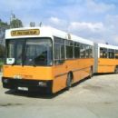 Bulgarian companies established in 1924