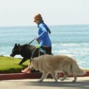 Renee Zellweger – Seen with her dogs in Laguna Beach - 454 x 403