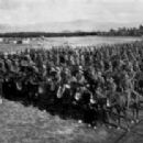 Wellington Mounted Rifles Regiment