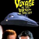 1964 television series debuts