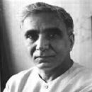 Amir H. Jamal
