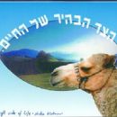 Shuka Glotman