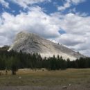 Yosemite National Park stubs