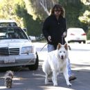 Billy Ray Cyrus takes his dogs out for a relaxing stroll through his neighborhood in Toluca Lake, California on April 4, 2014 - 454 x 379