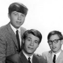 Don Grady - 454 x 334