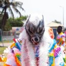 Carnivals in Ghana