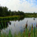 Nature reserves in Poland