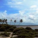 Environmental law in Brazil