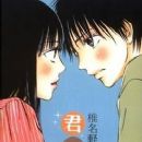 Kimi ni Todoke