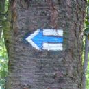 Trail blazing