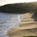 Surfing locations in Victoria (state)