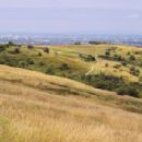 Protected areas of Greater Manchester