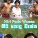Hiripoda Wassa