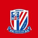 Shanghai Shenhua F.C. players