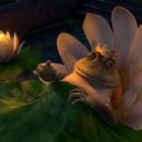 Shrek - 454 x 248
