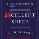 Excellent Sheep