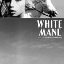 The Camargue