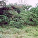1999 establishments in Cameroon