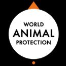 Animal welfare organisations in London