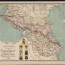 1846 establishments by continent