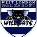 Netball teams in the United Kingdom