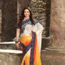Esha Deol's New Photoshoot For A Designer Wear - 450 x 600