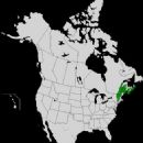 Geography of New Brunswick