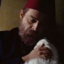 Harem suaré