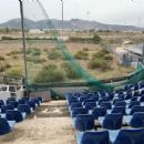 Softball in Greece