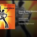 Saturday Night Fever (musical) - 454 x 255