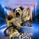The Karate Dog