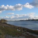 Geography of Rotterdam