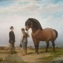 Joseph van Severdonck