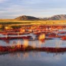 Biosphere reserves of Mongolia