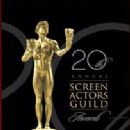 20th Annual Screen Actors Guild Awards