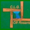 1884 in Gaelic games